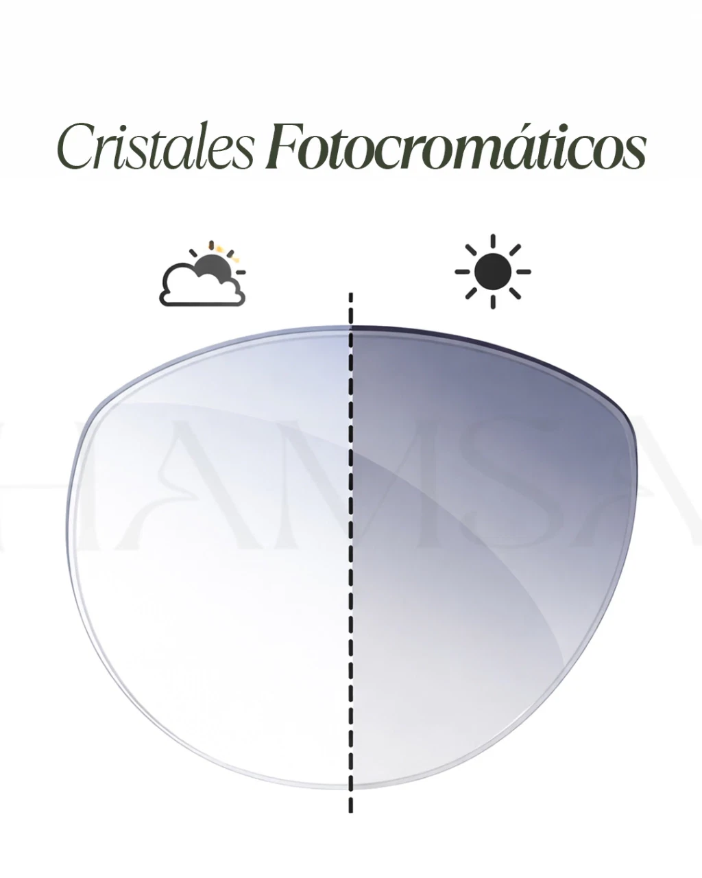 FOTOCROMATICOS